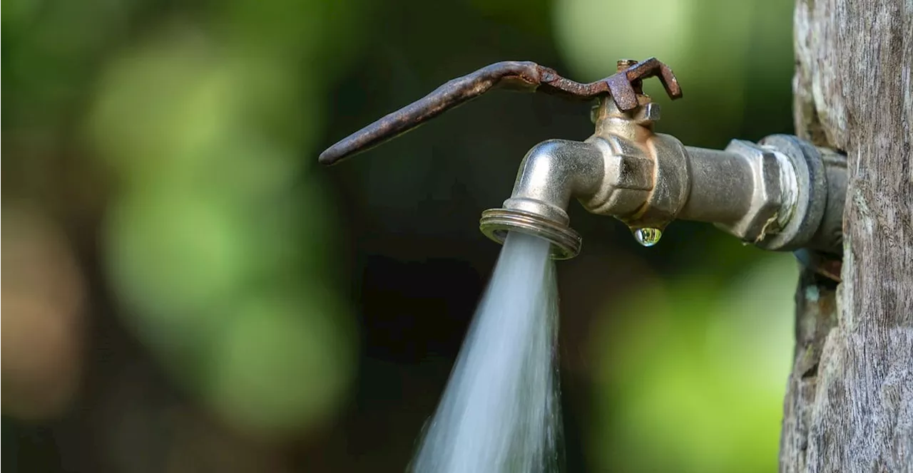 DCWD proves climate change resilience as water service sustains despite El Niño