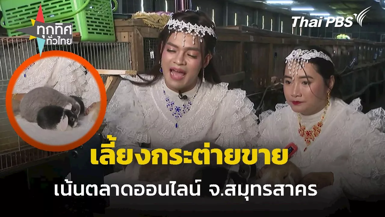 ผู้ใหญ่บ้านเลี้ยงกระต่ายขายออนไลน์ จ.สมุทรสาคร | Thai PBS รายการไทยพีบีเอส