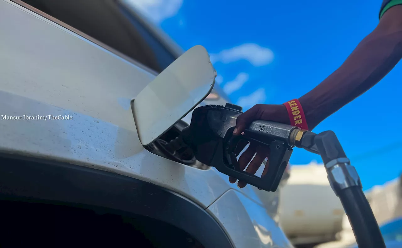 Agora Policy: Petrol subsidy bill to reach all-time high in 2024