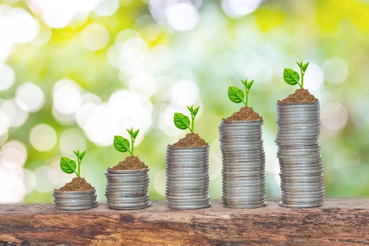 It’s production, stupid! Why services alone can't be relied upon for sustainable development