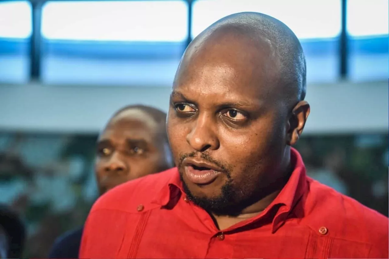 Floyd Shivambu’s new MK party role