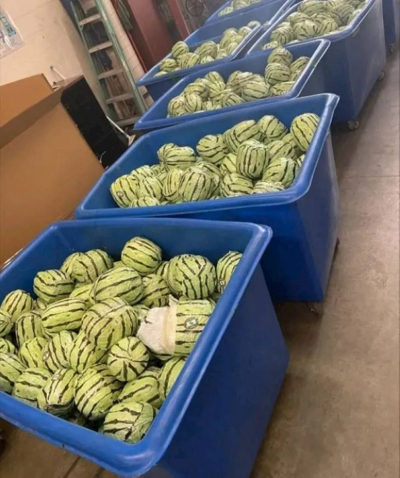 Strange produce: smugglers disguise meth as melons in US