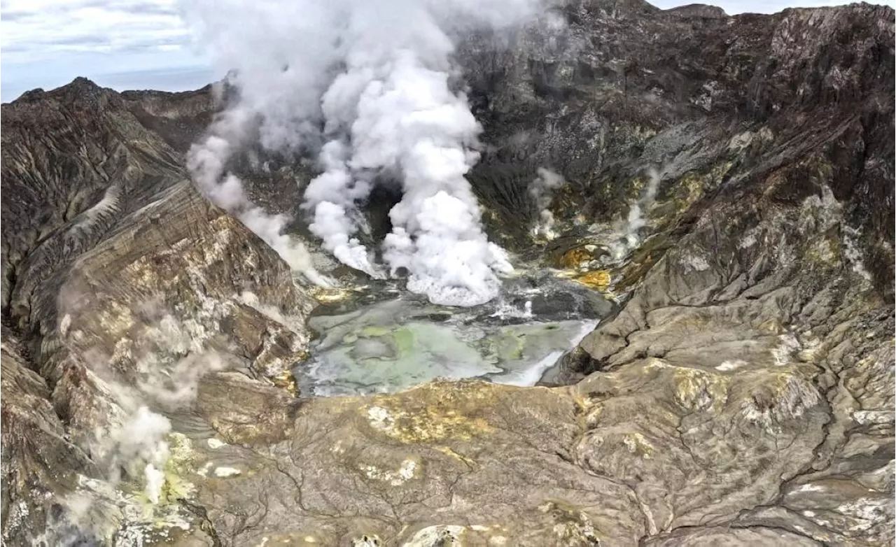 Volcanic eruption grounds flights in New Zealand