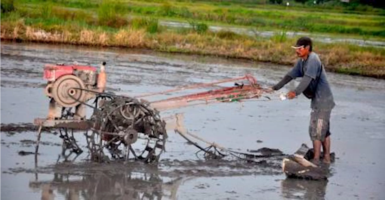 KPKM keluarkan syor harga siling kos upah bajak, tuai padi berkuat kuasa esok