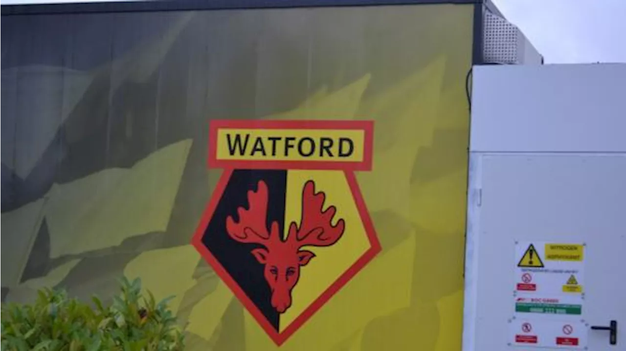 Watford, ore calde per l'addio di Asprilla: Girona e Leicester su di lui, spagnoli avanti