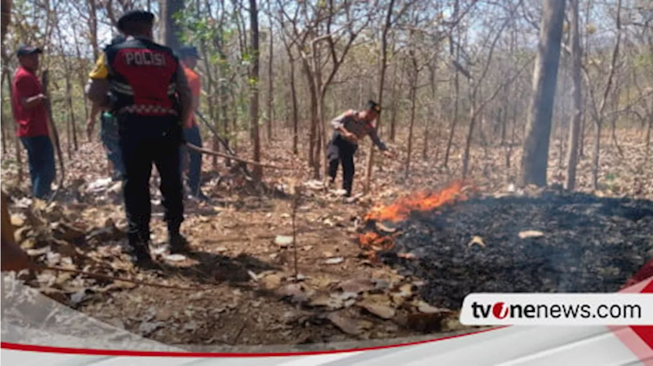 Ponorogo Dilanda Kebakaran Hutan Lagi, 25 Hektare Hutan Jati Terbakar di Gunung Gombak dan Sarean