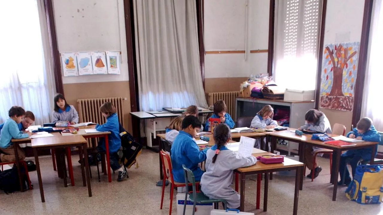 Ius scholae, la proposta di Forza Italia: cittadini dopo i 10 anni di scuola dell’obbligo