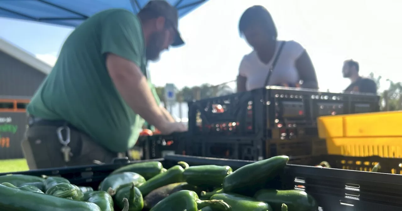 Free produce stand provides access to fresh foods in Anderson