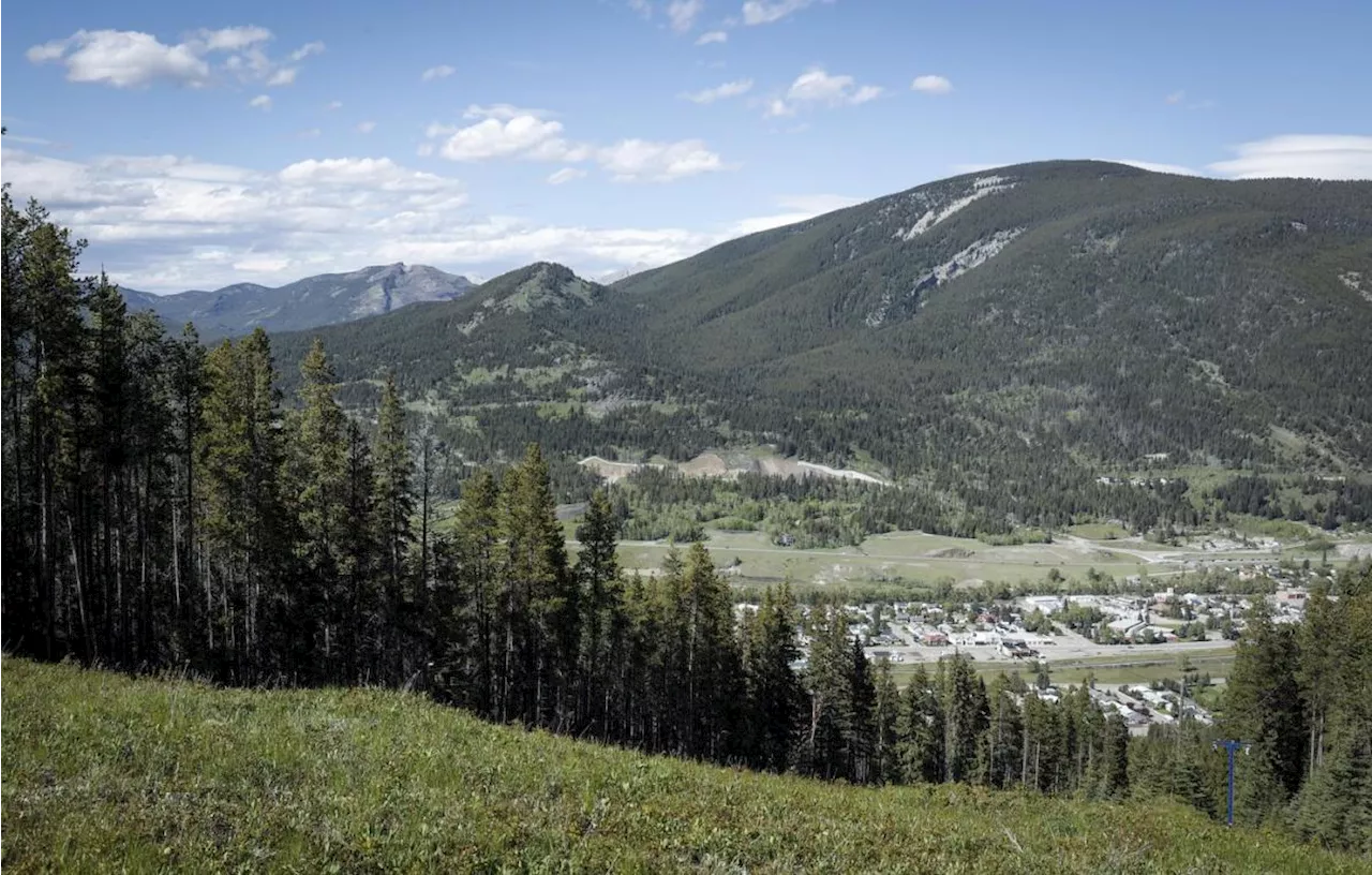 Top Alberta Court allows appeal of coal miner's exploration applications