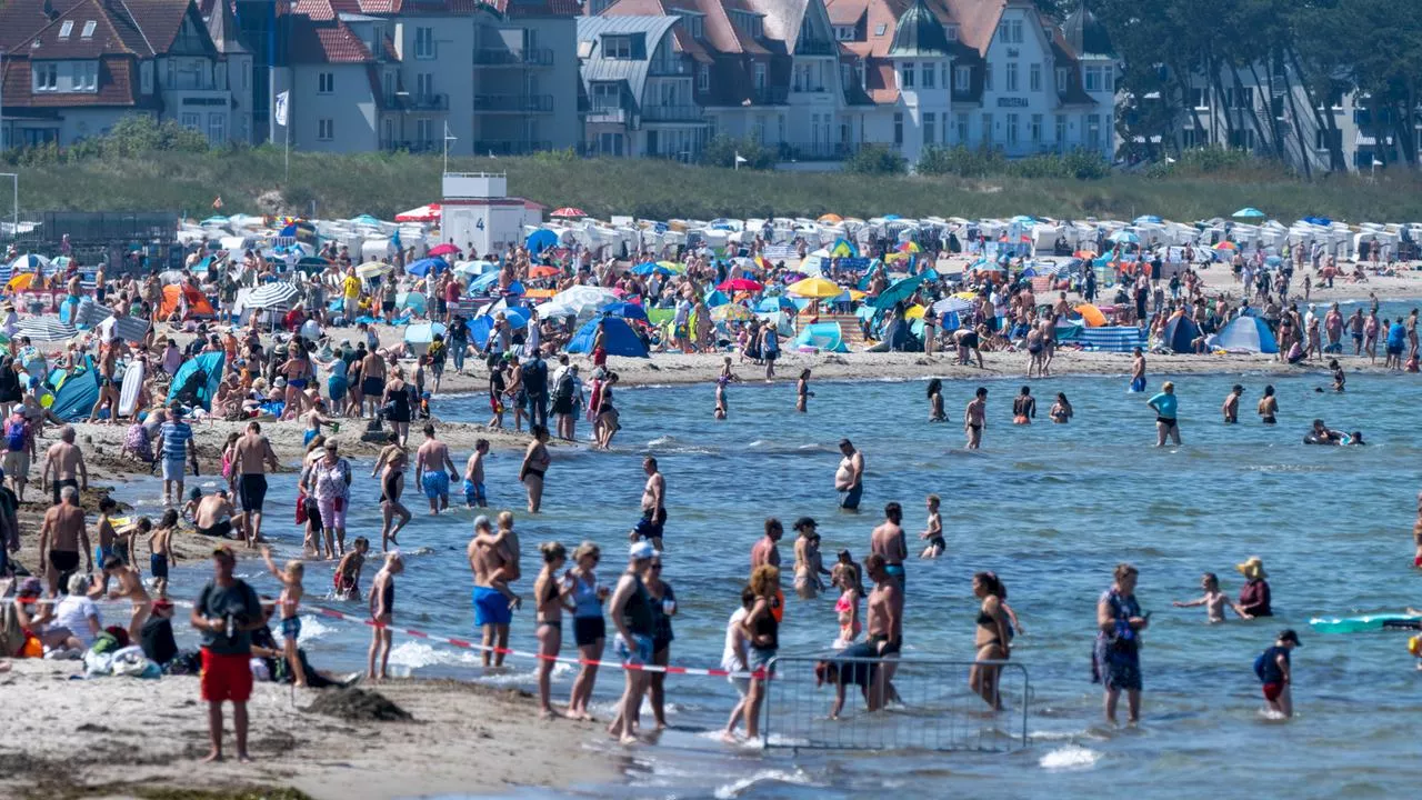 Vibrionen in der Ostsee: Infektionen, Symptome, Behandlung