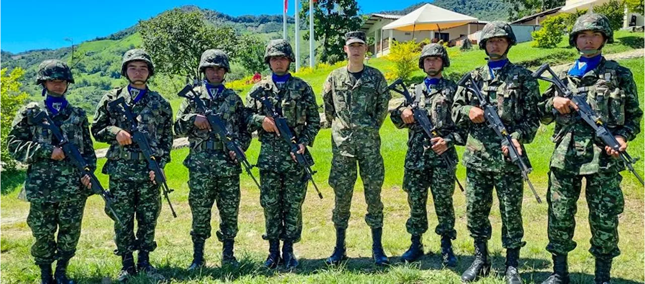 Ejército incautó más de 5 toneladas de cocaína en Nariño y Norte de Santander