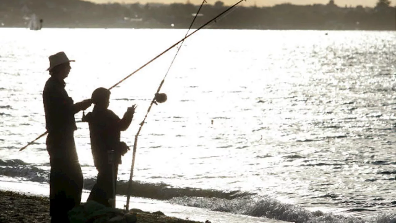 Labor Day weekend in New York to start with free fishing day, Aug. 31