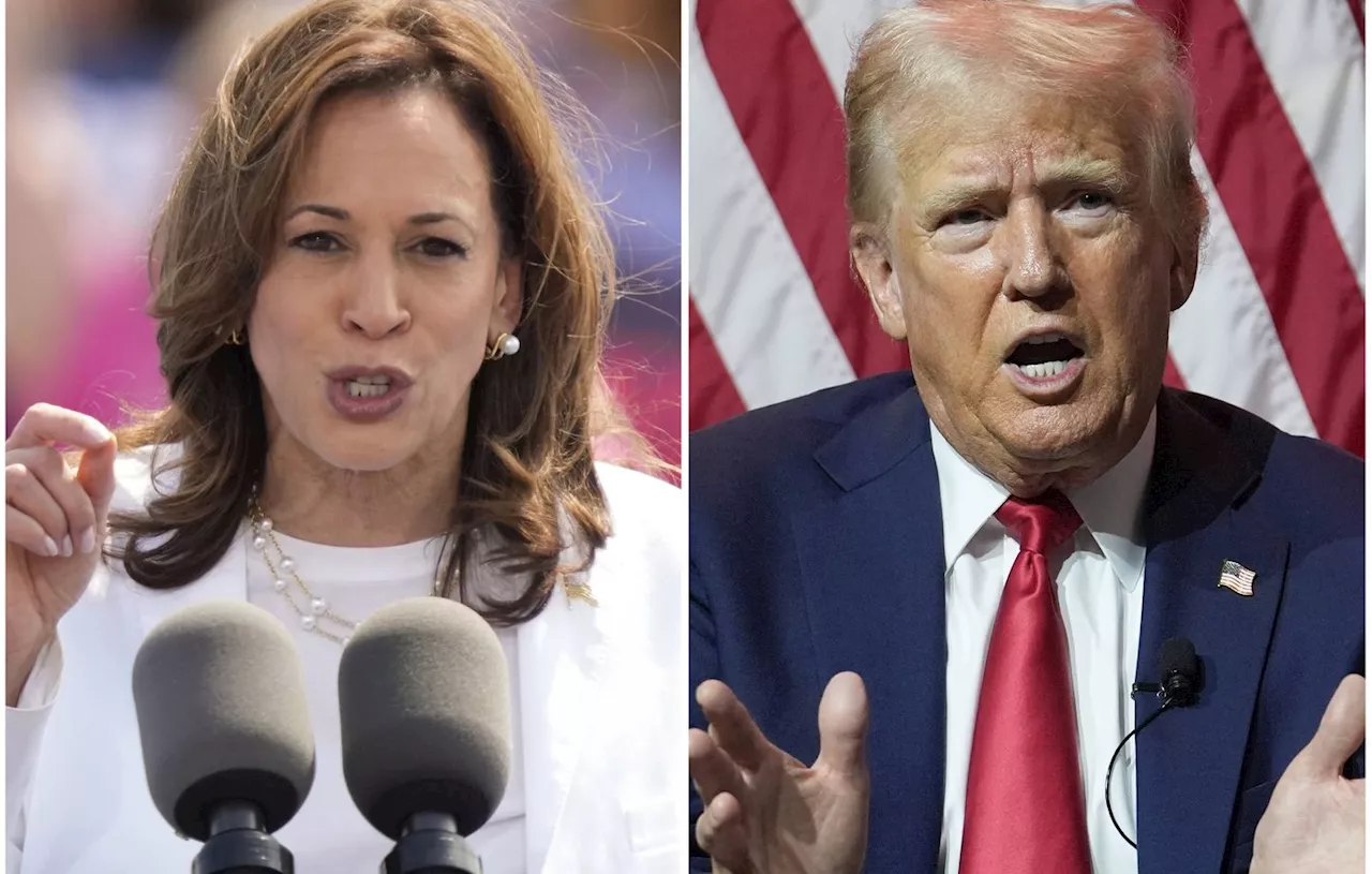 Présidentielle américaine 2024 : Kamala Harris et Donald Trump entrent dans le sprint final