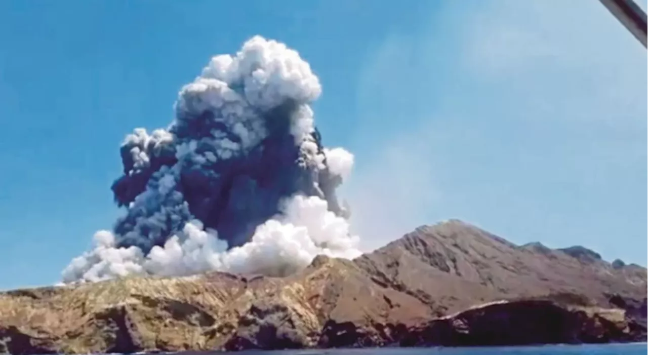 Volcanic eruption grounds flights in New Zealand