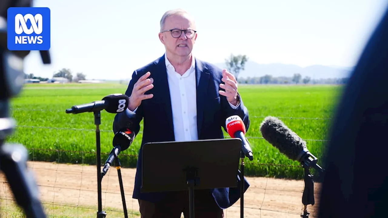 Anthony Albanese resists calls from WA premier and Nationals to apologise for live export joke