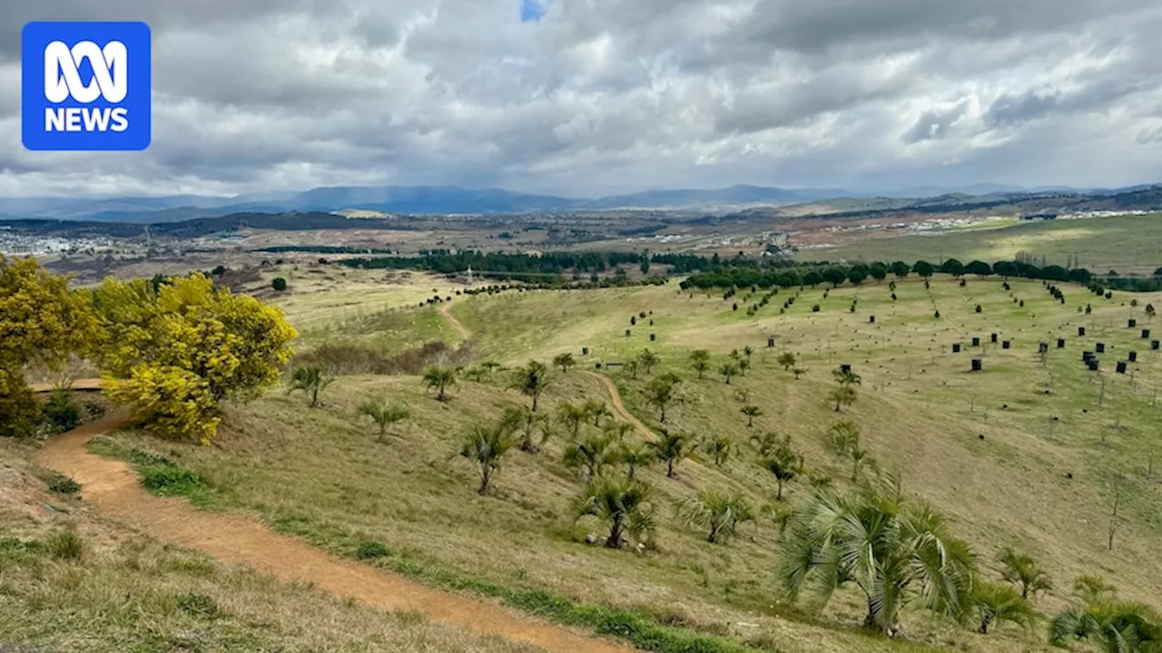 Hay fever sufferers warned Canberra could have 'earlier and above average grass pollen season'