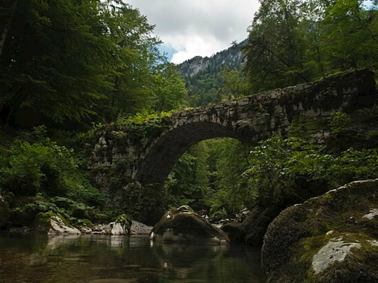 Près de Grenoble : cette randonnée au milieu des Alpes traverse une forêt mythique