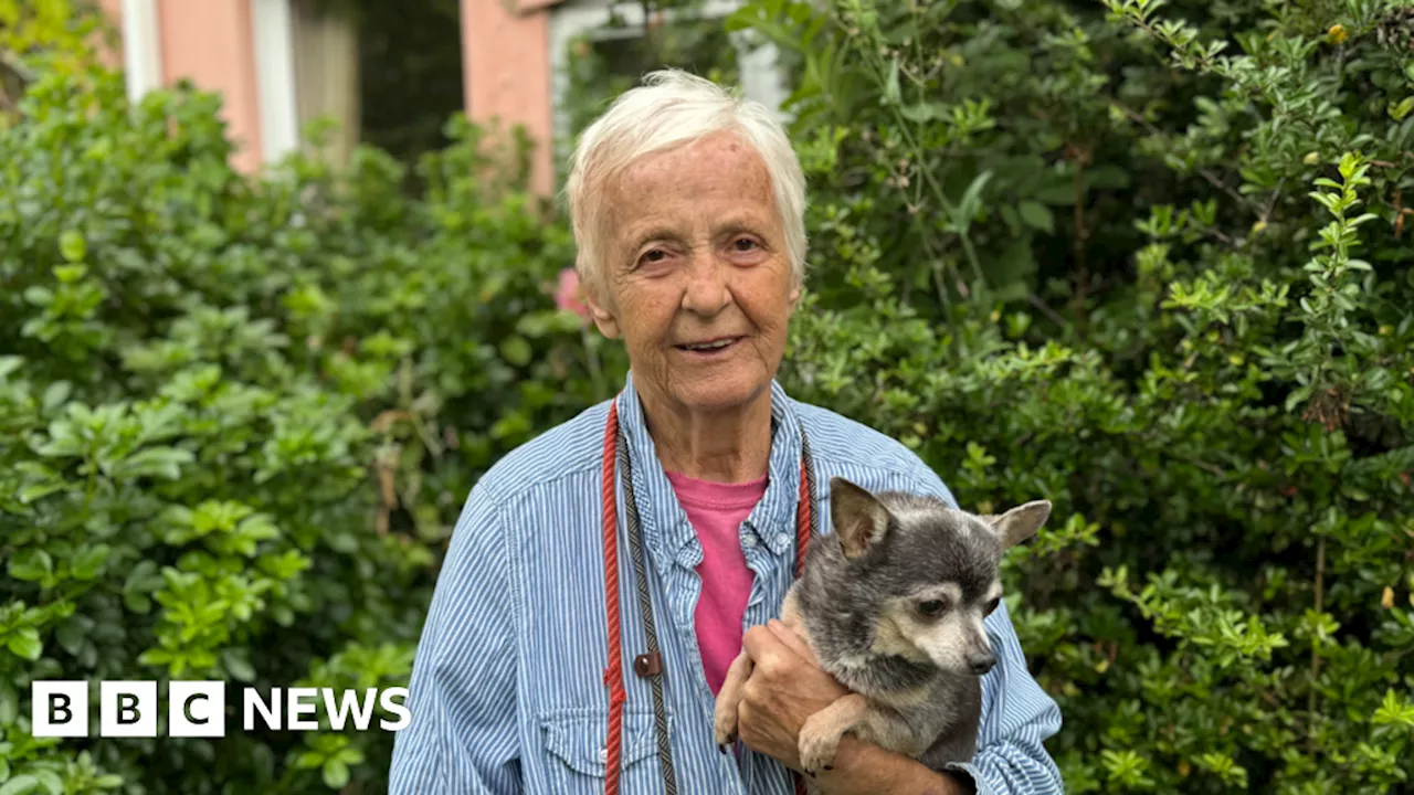 Suffolk and Essex animal shelter could remain open