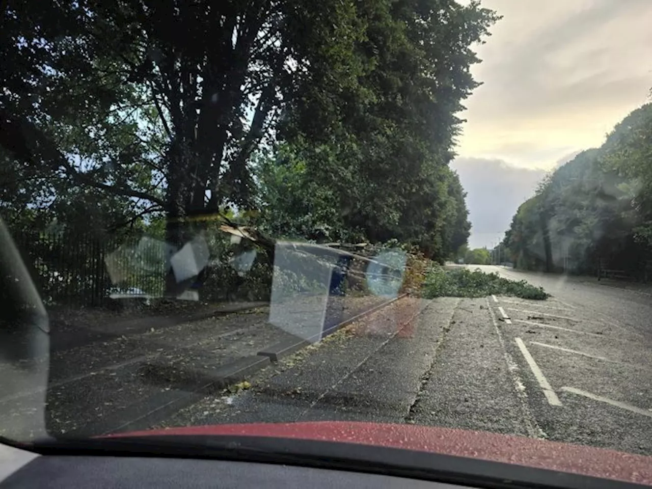 Storm Lilian blows into Preston as tree falls on Penwortham bridge