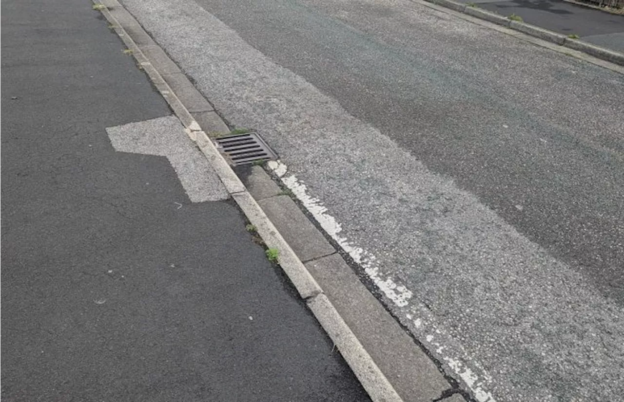 Two kittens found dead on Leyland street after appalling violence