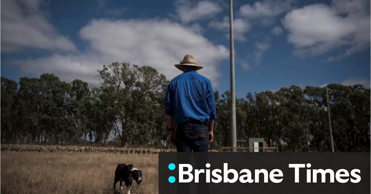 Mobile phones, 3G and the coming sounds of silence in the bush