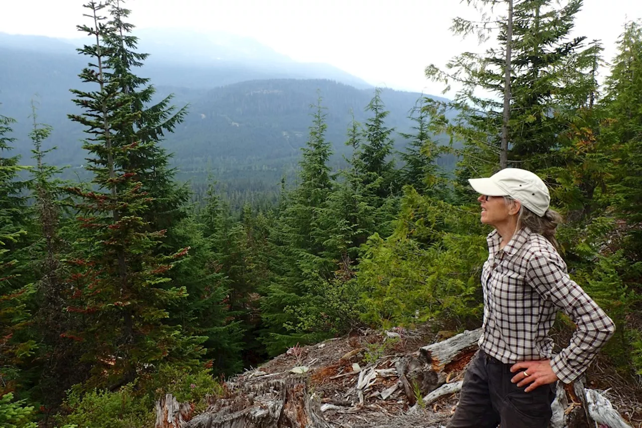 Fuel-thinning compromises coastal forests’ natural fire resilience: Whistler ecologist