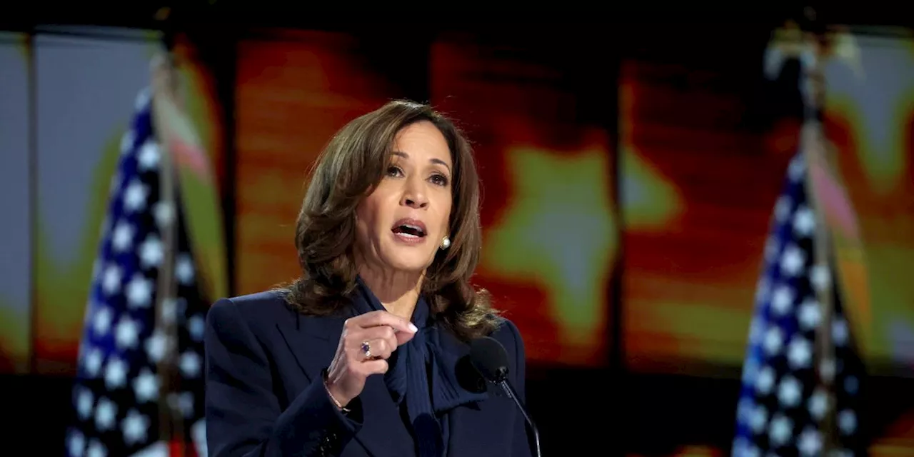 'We Are Not Going Back': Harris Rips Trump, Project 2025 in Nomination Speech