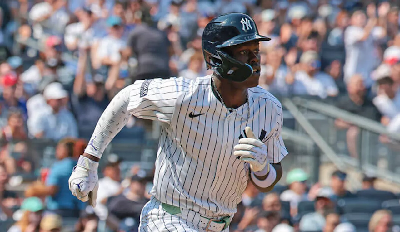 MLB Player Props for 8-23: Best Bets for Nelson, Chisholm Jr. & Greene