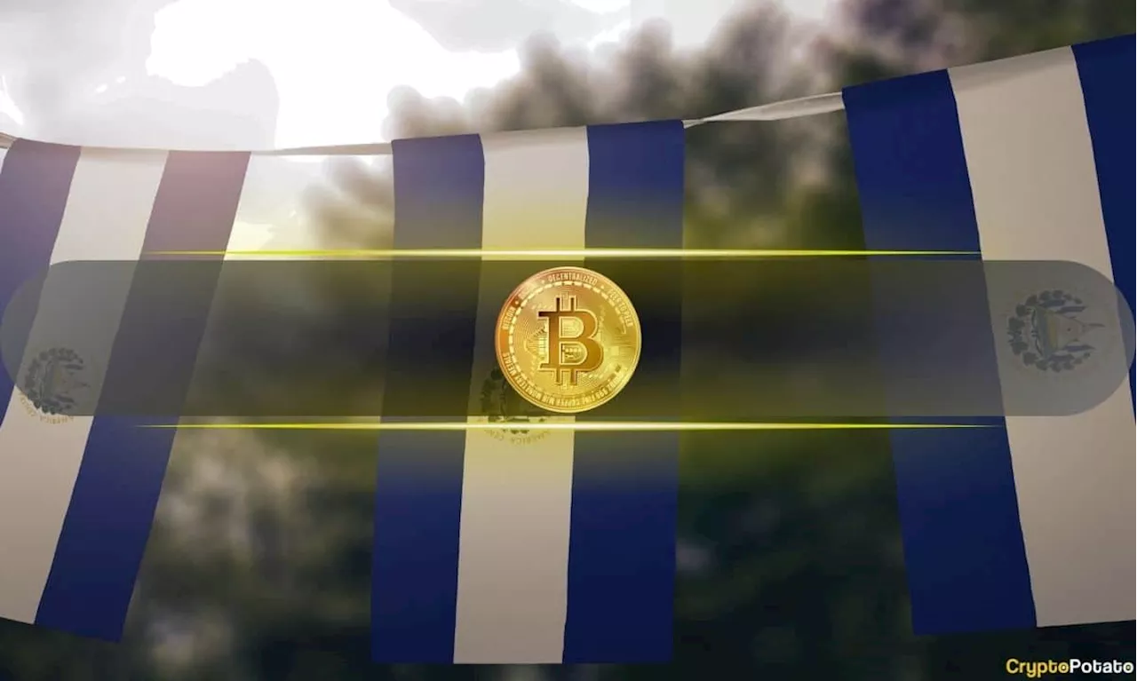 Here’s How Much El Salvador’s Cold Wallet Amassed Since Mid-March by Bitcoin Daily