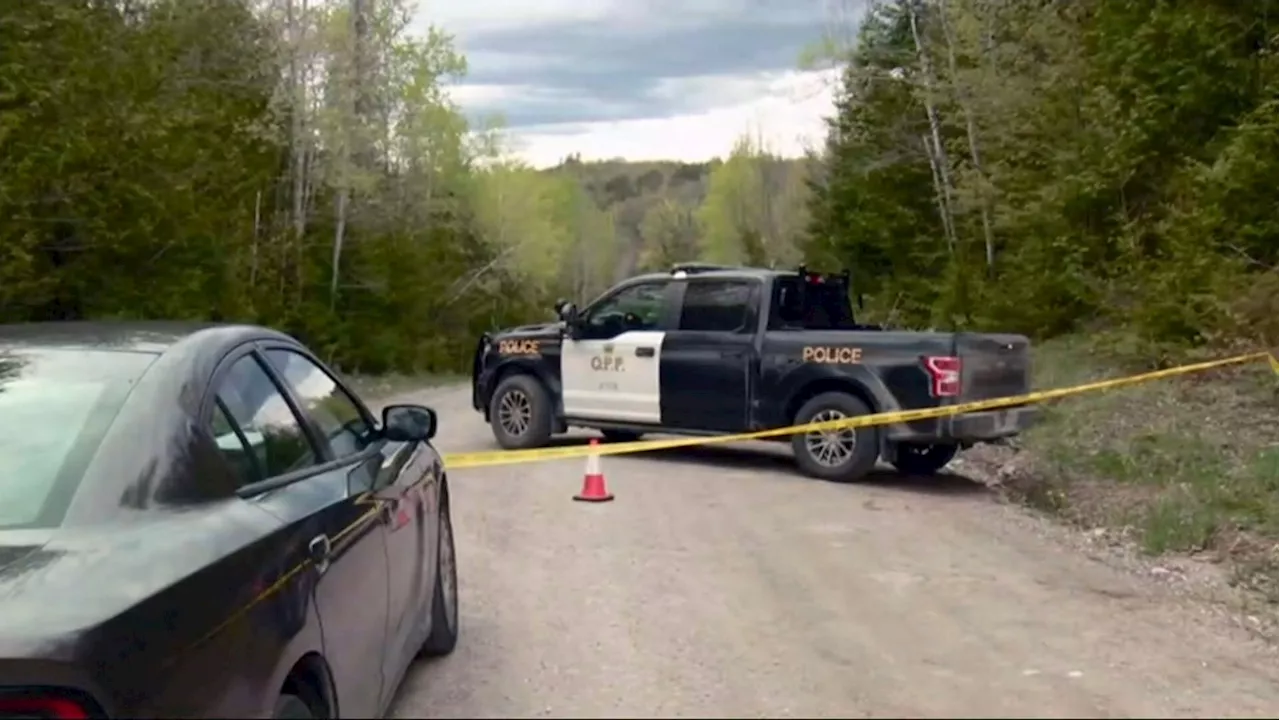 17-year-old facing charges in connection with fatal crash in Sharbot, Lake, Ont.