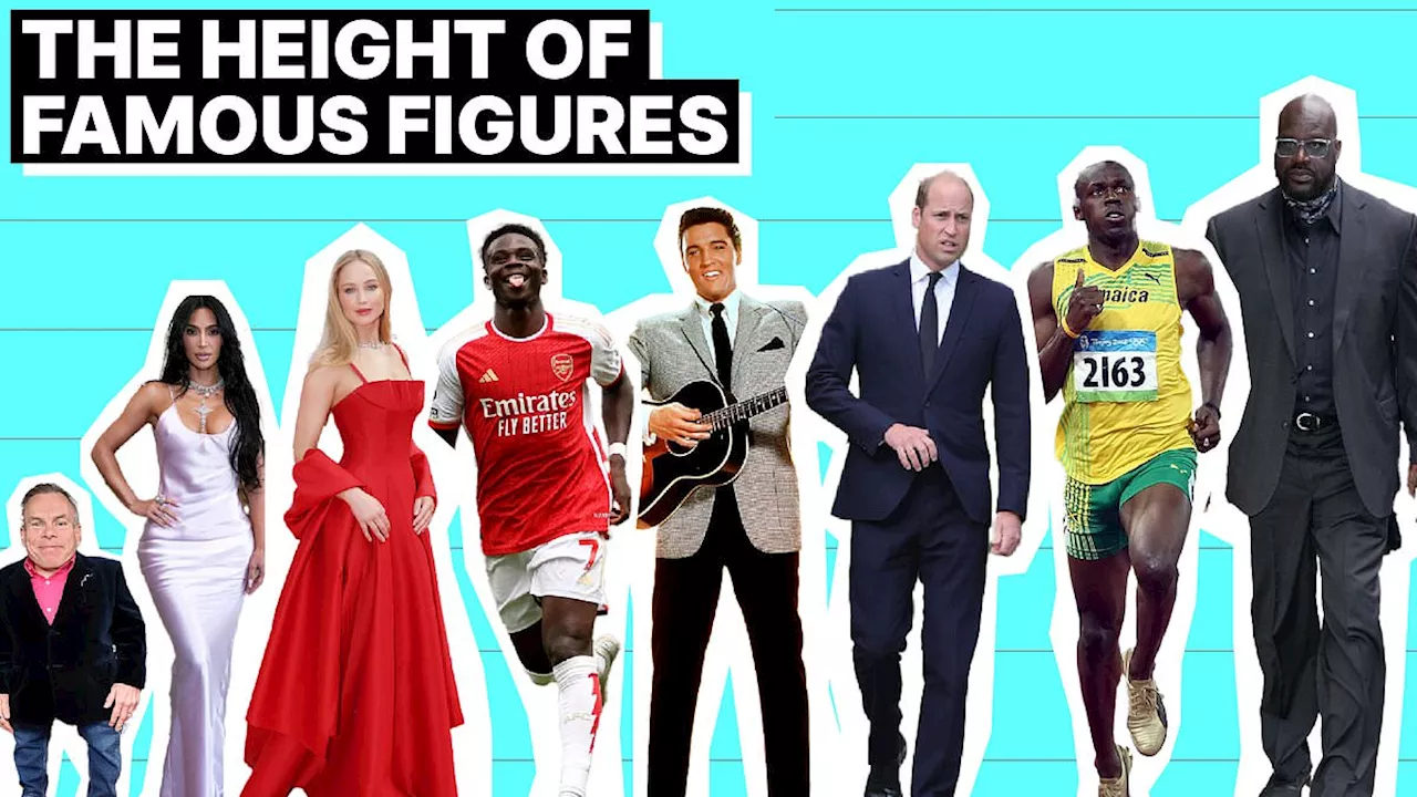 How tall are YOU compared to Hollywood heart-throbs, world leaders, sports stars and tech tycoons?...