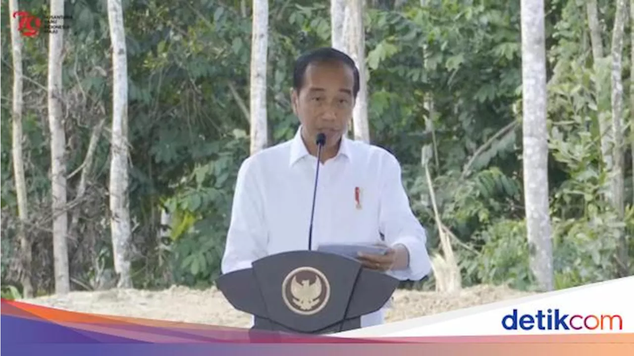 Basuki Sebut Jokowi Pindah ke IKN Bulan Depan