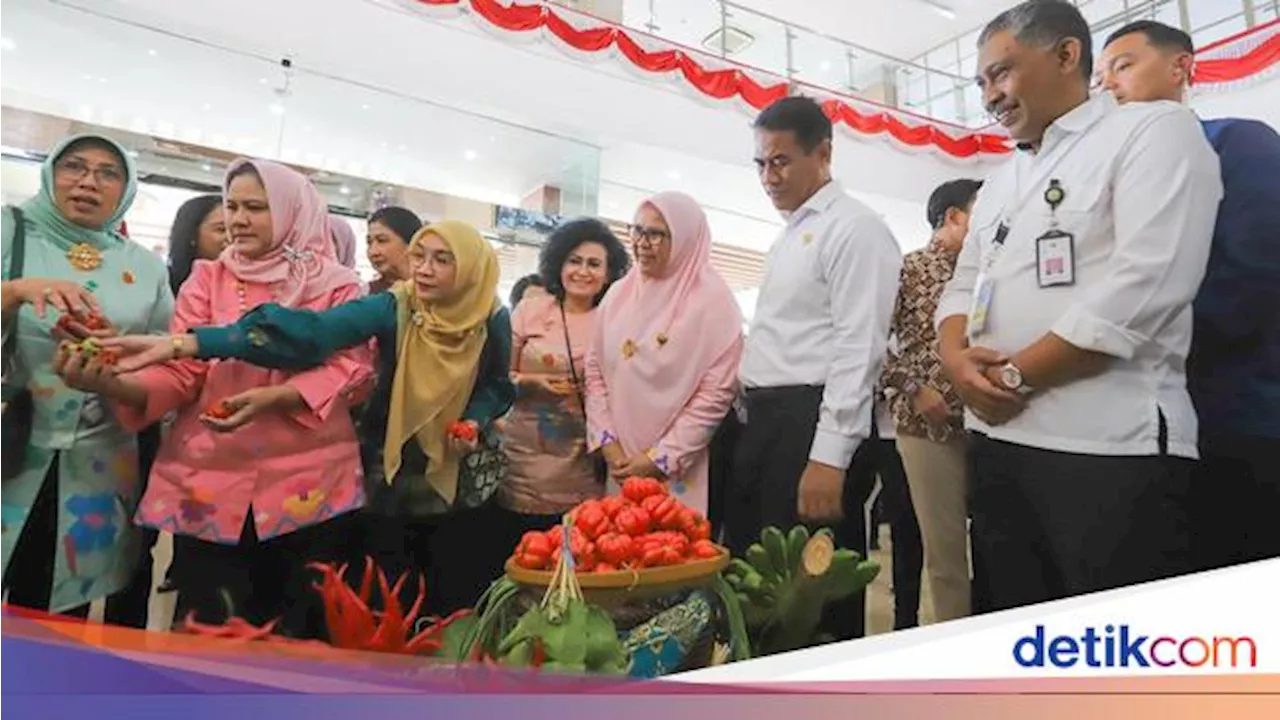 Iriana Jokowi Ajak Ibu-ibu di Makassar Kelola Hortikultura di Rumah