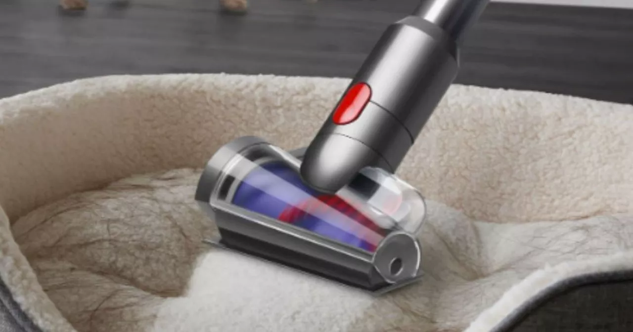 Dyson slashes up to £100 off cordless vacuum cleaners