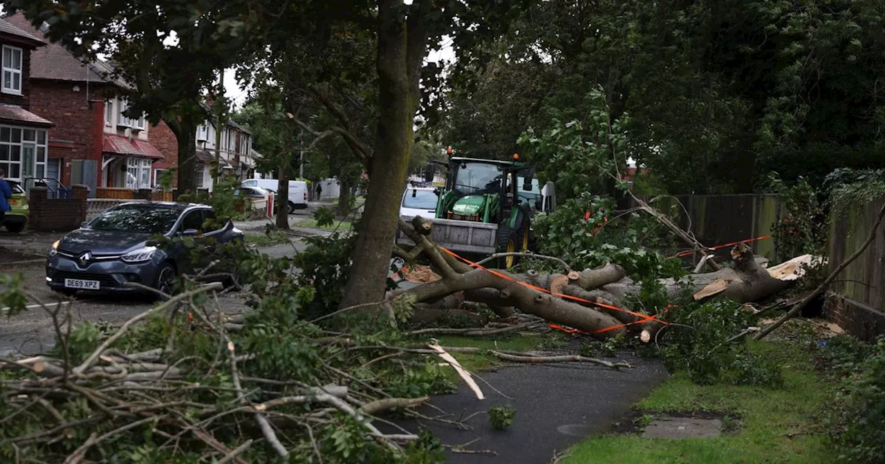 Storm Lilian road closures as trees fall and trains cancelled