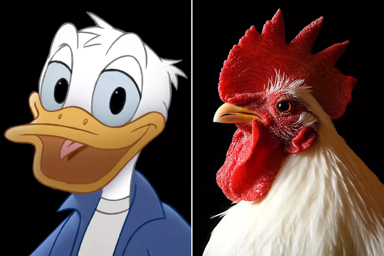 Disney's Donald Duck evades cannibalism, uses cauliflower wings over chicken in wild Hot Ones debut