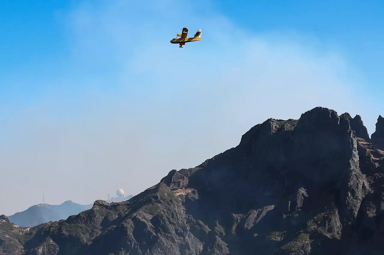 Incêndios na Madeira: Fogo mantém-se na cordilheira central e atenua na Ponta do Sol