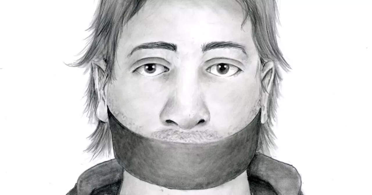 Red Deer RCMP investigate sexual assault from 2022, release sketch of suspect