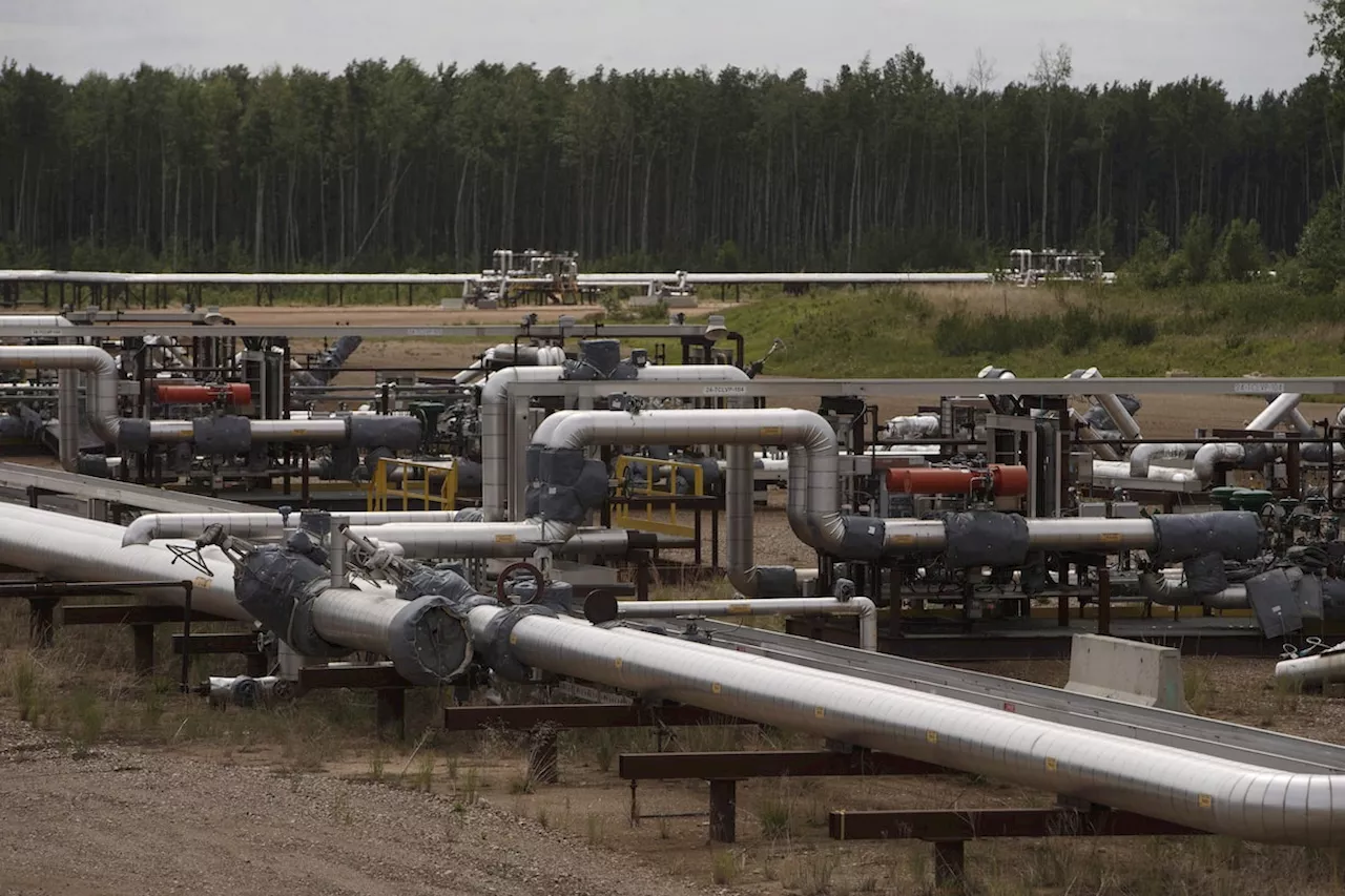 Municipalities say Alberta oilpatch policies harming tax base, public interest