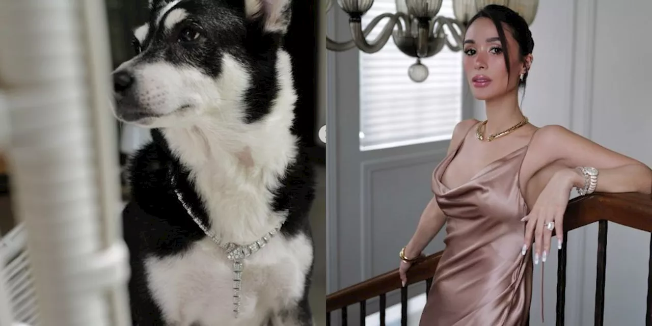 Heart Evangelista on her dog Panda wearing her luxury necklace: ‘Anak ko ‘yun eh’