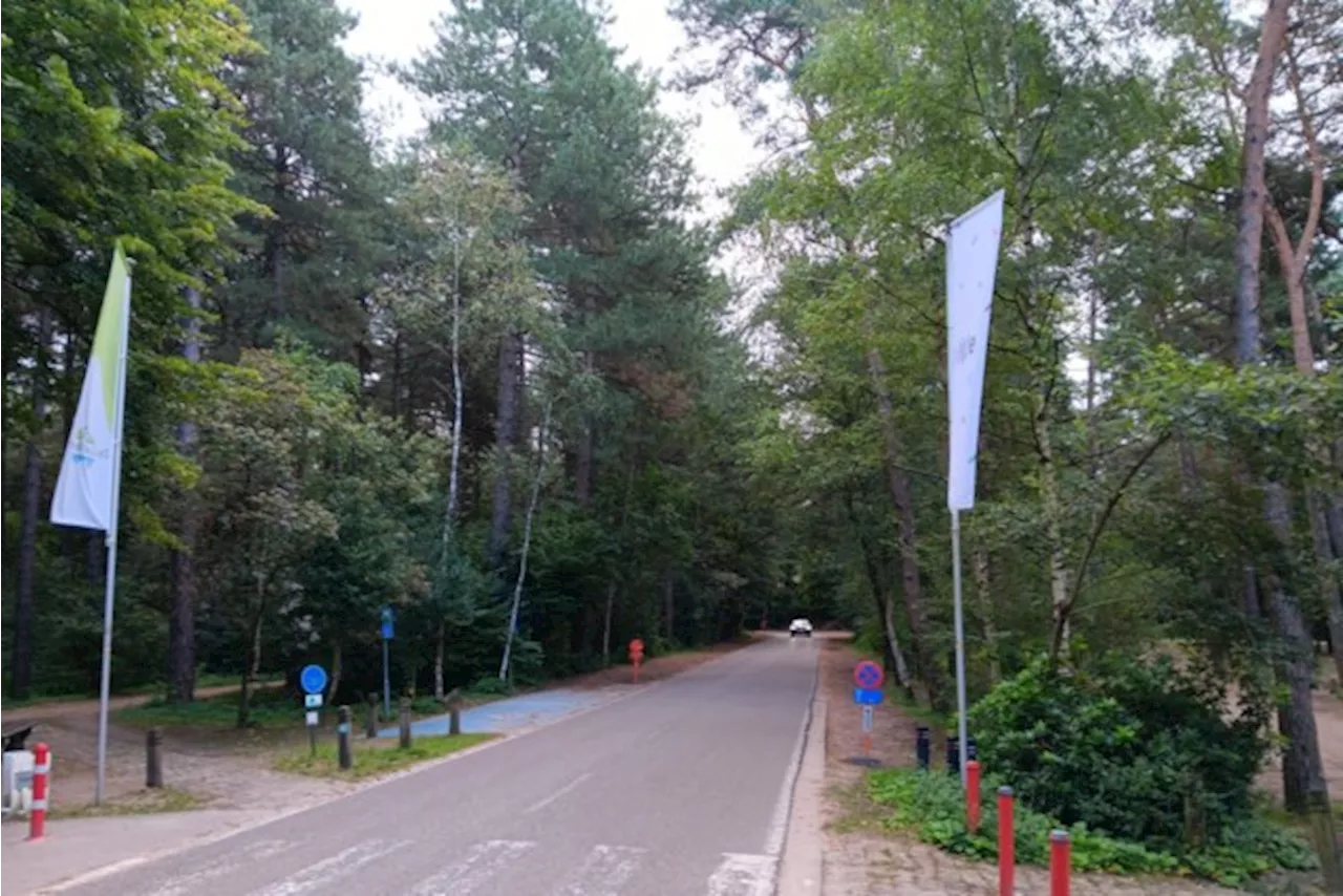 Parkeerverbod en snelheidslimiet verhogen veiligheid nabij De Lilse Bergen