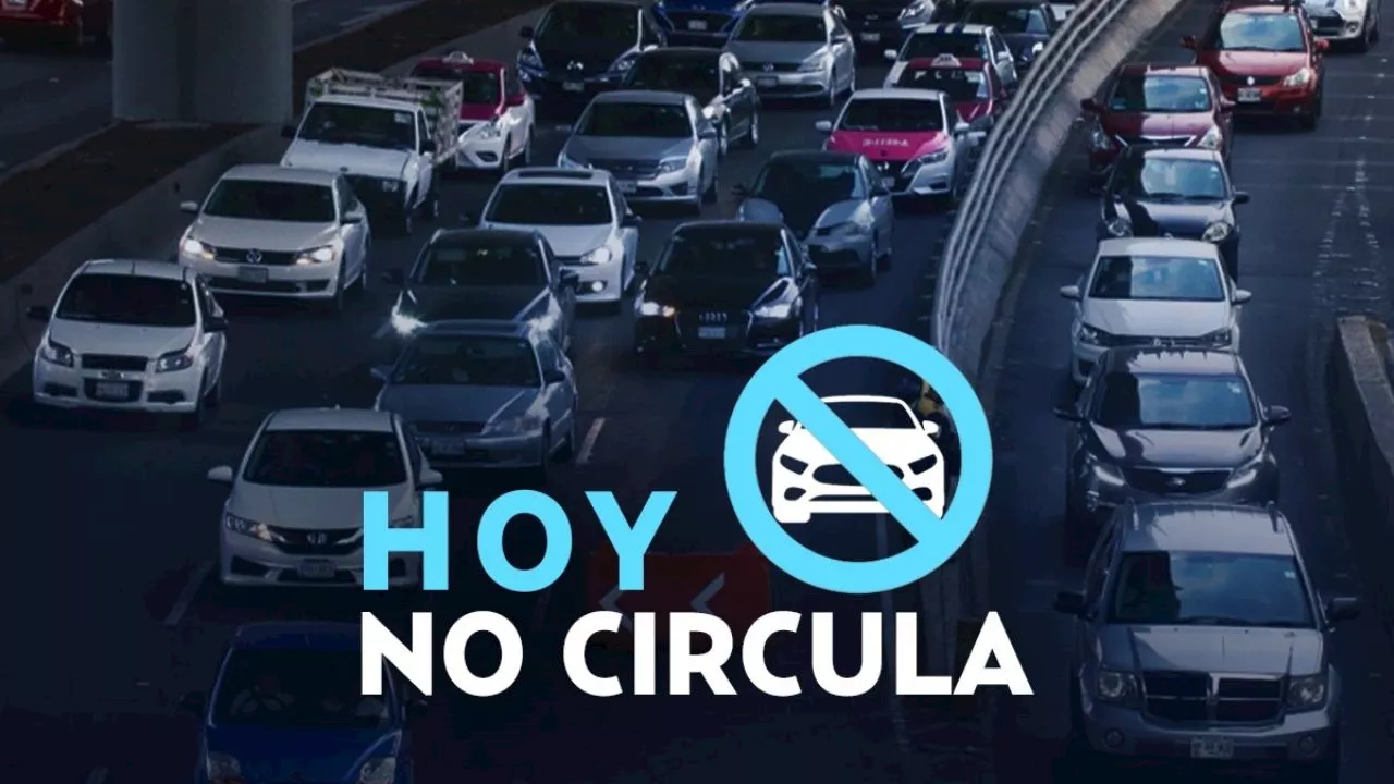 Hoy No Circula Sabatino: ¿qué autos descansan este sábado 23 de agosto de 2024?