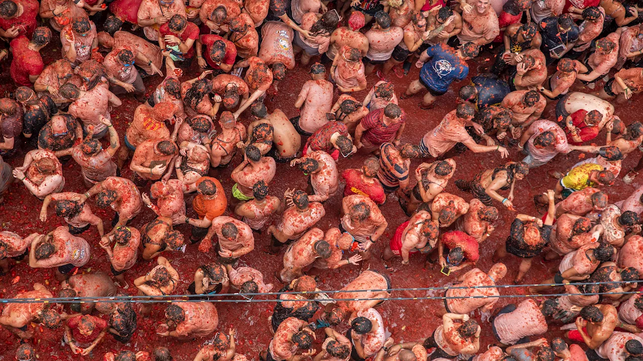 Buñol se prepara para la tomatina con 16.000 entradas vendidas