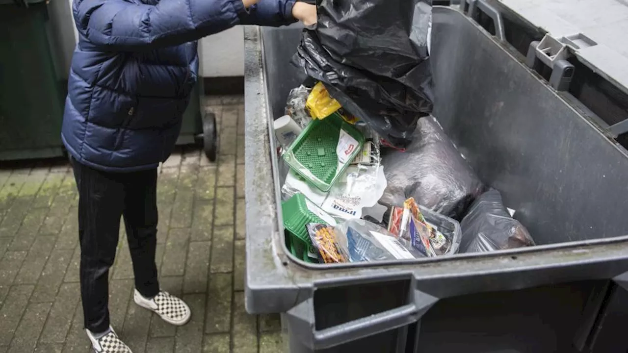 Forskere har fundet »dramatiske« mængder mikroplast i hjernevæv