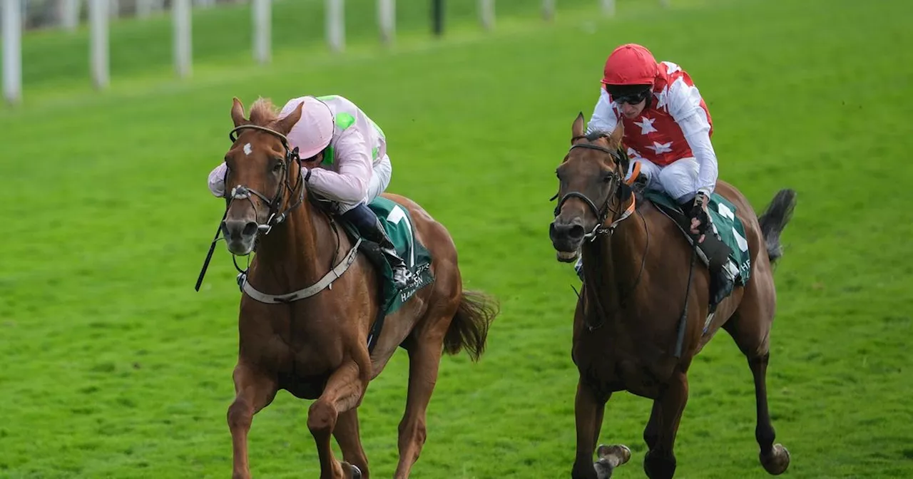 Willie Mullins Flat star Vauban back on £4m Melbourne Cup path with York win