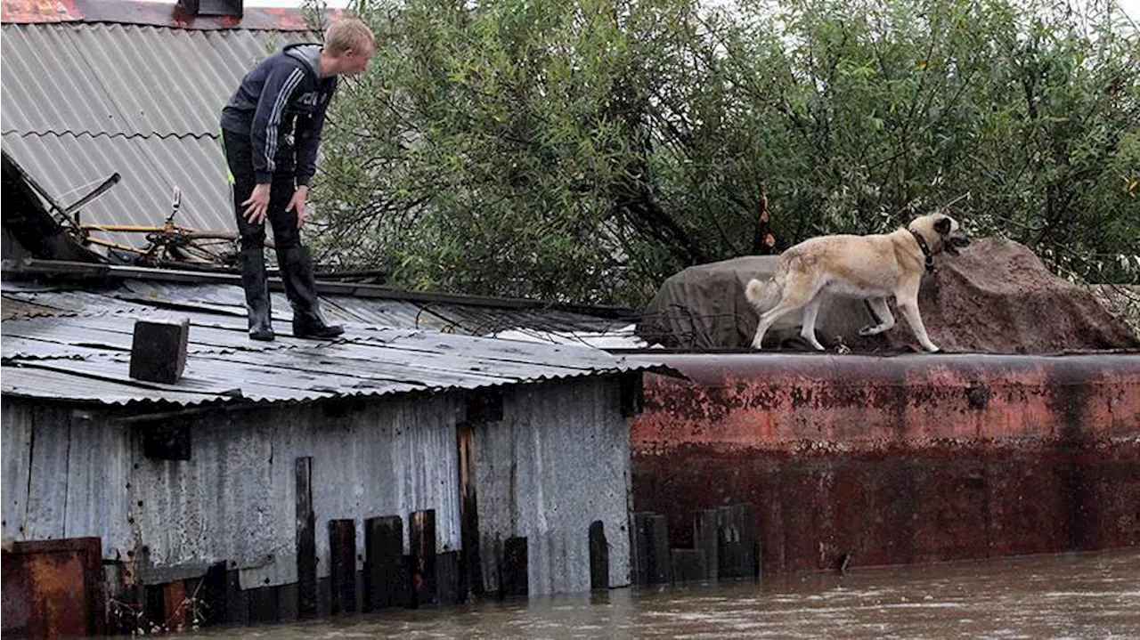 В Гидрометцентре предупредили об опасности паводков на Дальнем Востоке