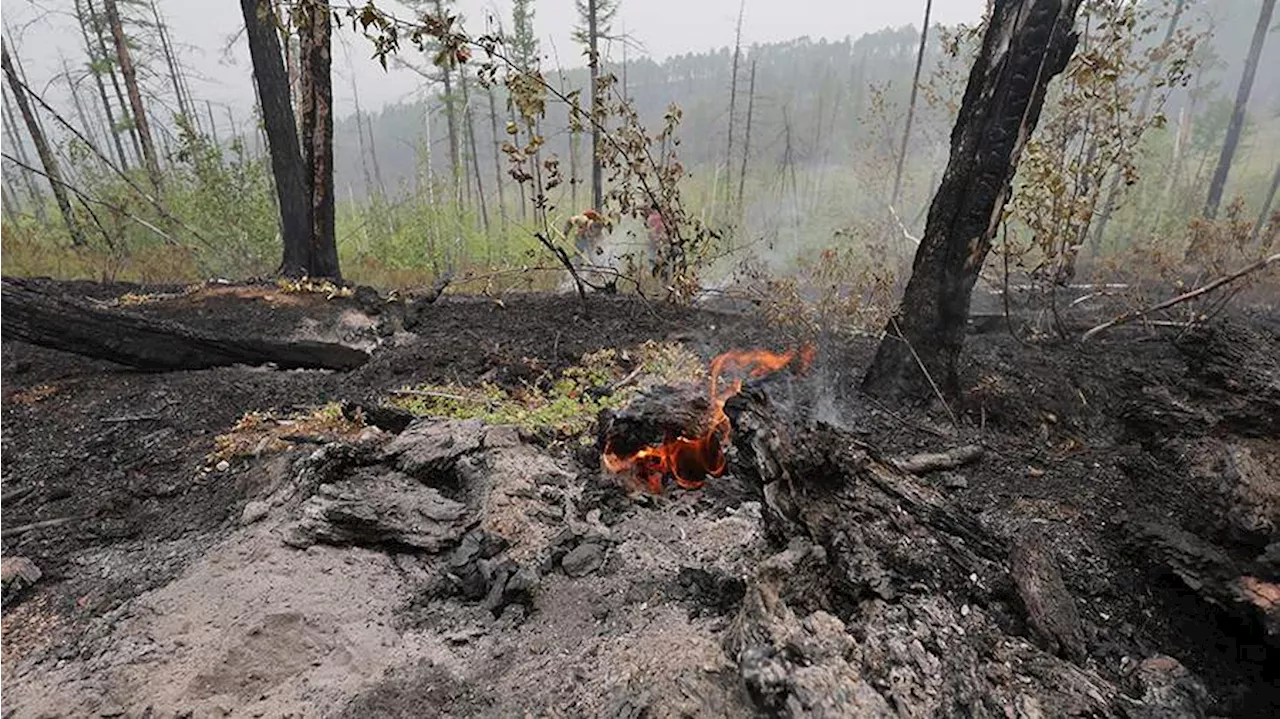 Площадь лесного пожара в Карачаево-Черкесии возросла до 15 га