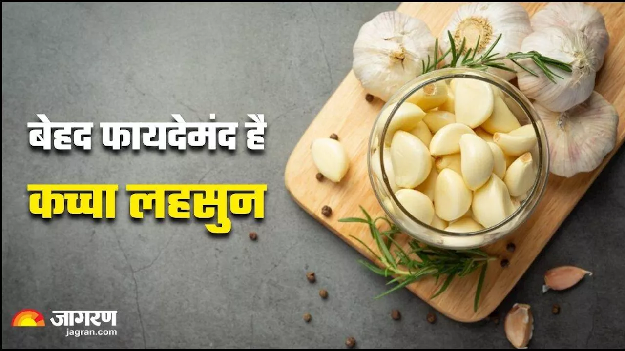 Raw Garlic Benefits: लंच के पहले खाएं कच्चे लहसुन की तीन कलियां, सेहत से जुड़ी कई परेशानियां हो जाएंगी छूमंतर