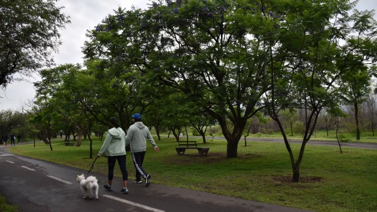 ¡Atención! Adultos mayores entrarán gratis al Parque Metropolitano