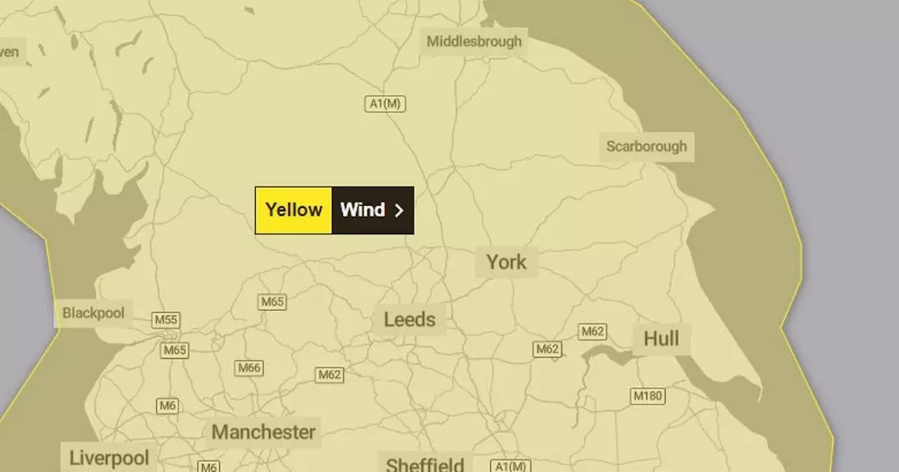 Storm Lilian live as Yorkshire braced for hurricane-strength winds